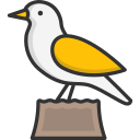 pájaro icon