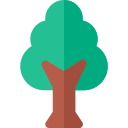 Árbol