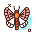 mariposa