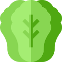 lechuga icon