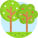 Árbol icon