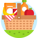 picnic icon