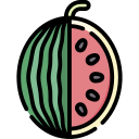 pastèque icon