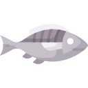 pescado