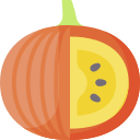 calabaza icon