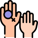Feminist 