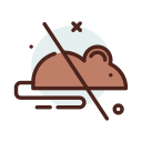 ratón icon