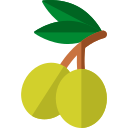 aceituna icon