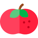 tomate icon