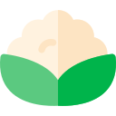 coliflor icon