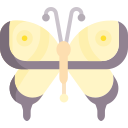 mariposa