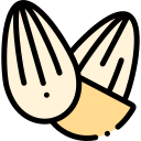 almendra icon