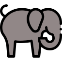 elefante