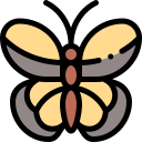 mariposa