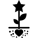 planta estrella con semilla de corazón 