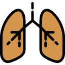 pulmones icon