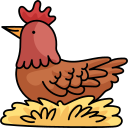 gallina icon