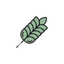 planta de trigo icon