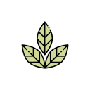 hoja de la planta icon