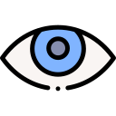 ojo icon