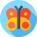 schmetterling 