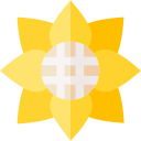 girasol icon