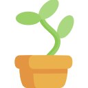 vaso de plantas 