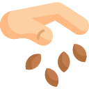 Seeds 