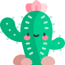 kaktus 
