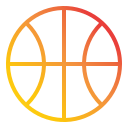 basketball icon