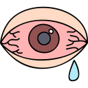 conjuntivitis icon