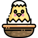 pollo icon