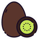 kiwi icon