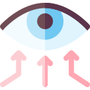 ojos icon