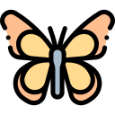 mariposa