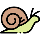 caracol icon