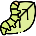 oruga icon