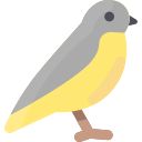 pájaro icon