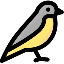 pájaro icon