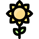 girasol icon