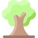 Árbol