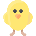 pollo icon