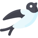 golondrina icon