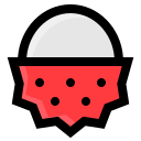 lychee icon