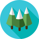 pines icon