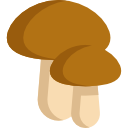 cogumelos icon