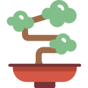 bonsai