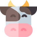 vaca