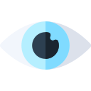 ojo icon