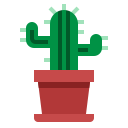 cactus icon